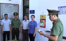 Biến đất rừng thành đất ở, cựu chủ tịch thị xã Phú Thọ bị bắt