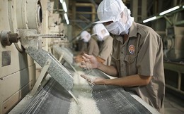Ấn Độ cấm xuất khẩu gạo, cổ phiếu gạo Việt Nam “bứt phá”