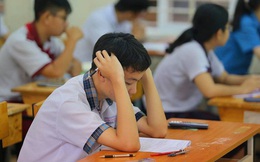 Con trai 16 tuổi bỗng dưng đòi đi du học, mẹ có cách ứng xử đáng khen
