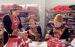 Nhiều hoạt động hỗ trợ tiêu thụ sản phẩm vùng đồng bào dân tộc thiểu số và miền núi