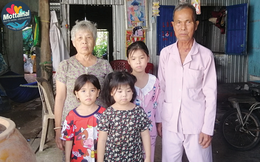 Ông bà U80 ngày ngày nhặt ve chai nuôi 3 cháu mồ côi