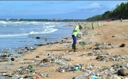 Phấn đấu 100% các khu du lịch biển không sử dụng sản phẩm nhựa dùng 1 lần