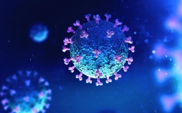 Các nhà khoa học lo ngại Covid-19 có thể tấn công hệ thống miễn dịch như HIV 
