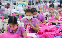 Quý I/2020: Lao động nữ chịu tác động mạnh bởi cú sốc thiên tai, dịch bệnh