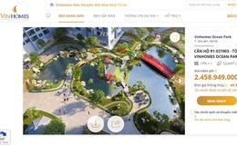 "Ngồi nhà - Mua nhà" Vingroup "khơi mào" cuộc đua giao dịch bất động sản trực tuyến