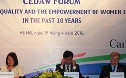 Tiến tới bình đẳng giới thực chất ở Việt Nam qua lăng kính CEDAW