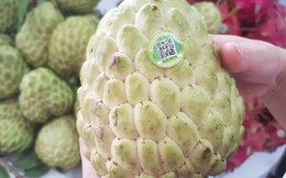 Đẩy mạnh phát triển nông sản 'khủng' vùng Tây Bắc