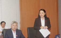 Chủ tịch Hội LHPNVN: Kiến nghị có chính sách cụ thể hỗ trợ Doanh nghiệp xã hội và đề xuất bổ sung doanh nghiệp xã hội được ưu đãi đầu tư