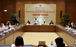 Đoàn giám sát phòng, chống xâm hại trẻ em họp phiên thứ nhất
