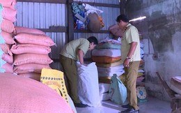 Phát hiện hơn 30 tấn gạo, nếp, tấm không rõ nguồn gốc