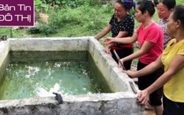 2 anh em chết đuối thương tâm trong bể nước sinh hoạt gia đình