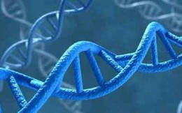 Somalia lần đầu tiên sử dụng ADN để kết án các 'yêu râu xanh'