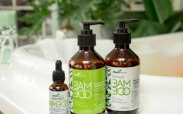 Khám phá bí ẩn từ thiên nhiên của bộ dầu gội, dưỡng tóc Bamboo của Xanh Nature
