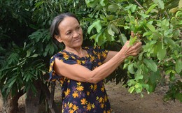 Xây dựng gia đình '5 không, 3 sạch' ở Hà Tĩnh: Thay đổi nếp sống bắt đầu từ nếp nghĩ
