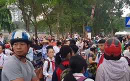 Cả nhà rối như canh hẹ vì chuyện đưa đón con đi học 
