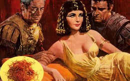 Saffron: ‘Mỹ phẩm’ cho cả sức khỏe và làm đẹp, bí thuật dưỡng nhan của các bà hoàng Trung Đông 