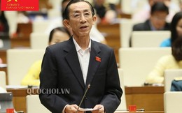 ĐBQH: Cần phải làm cho người tiêu dùng 'ưa thích' dùng hàng hóa Việt Nam