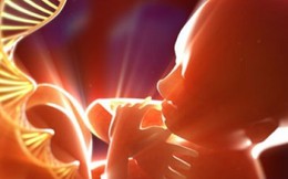 Chuyên gia tư vấn tránh sinh con bị tan máu bẩm sinh