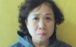 Nữ giám đốc lừa đảo hơn 7 tỷ đồng bị khỏi tố 2 tội danh