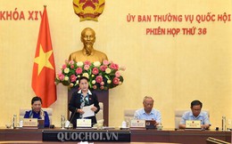 Ủy ban Thường vụ Quốc hội xem xét 5 dự án luật và 1 dự thảo nghị quyết