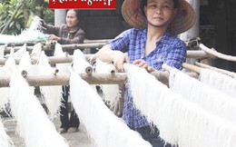 Quảng Trị: Đối thoại chính sách hỗ trợ phụ nữ khởi nghiệp