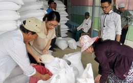 Xuất cấp gạo cho các tỉnh Lai Châu, Gia Lai, Hòa Bình, Lạng Sơn, Điện Biên