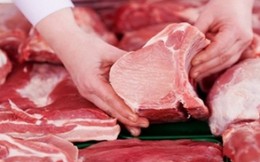 Bộ Công thương cảnh báo rủi ro xuất lợn sang Trung Quốc quá trễ 