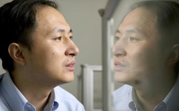 Giới khoa học kịch liệt lên án thí nghiệm 'biến đổi gene' trẻ sơ sinh