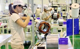 Thực tập sinh Việt Nam ở Nhật Bản có bị lợi dụng?