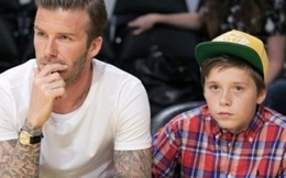 Học Beckham cách dạy con