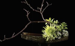 Bông hoa trên bánh khiến người xem thích mê của nghệ nhân Hùng Quách