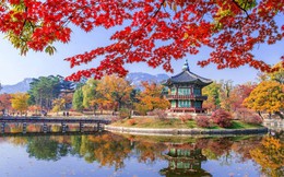 Được cấp visa không phải chứng minh tài chính: Nông dân háo hức đi Hàn