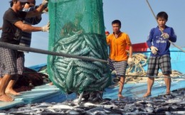 Xã đầu tiên của Quảng Trị nhận bồi thường do sự cố môi trường biển