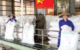 Tiến tới thị trường cạnh tranh lành mạnh, công bằng cho mặt hàng đường trong nước sản xuất