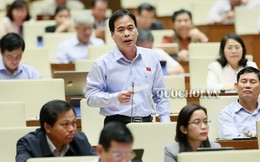 Dự thảo Luật Hòa giải, đối thoại tại Tòa án thiếu quy định bảo vệ quyền trẻ em