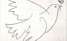 Danh họa Picasso và bức vẽ chim bồ câu biểu tượng của hòa bình