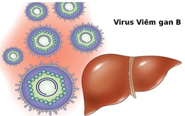 Mắc bệnh viêm gan B sống được bao lâu?