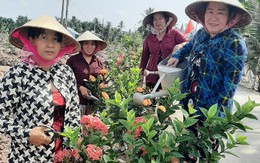 Phụ nữ Cù Lao Dung bảo vệ môi trường gắn với xây dựng nông thôn mới