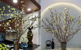 Cành hoa mận rừng tấp nập xuống phố, mua 90 nghìn được hẳn 20 cành cắm quanh nhà