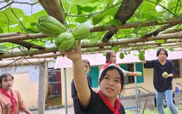 Thu hút 100% học sinh đến trường nhờ có đèn sáng và nhiều không gian học mà chơi