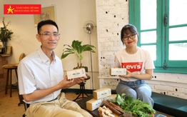 Tạo dựng thương hiệu hàng hóa Việt bằng phương pháp độc đáo: Lên men dược liệu