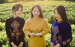 Liên kết để đưa sản phẩm trà vùng cao phát triển, vươn xa