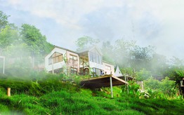 Ngôi nhà chữa lành của nữ kiến trúc sư "bỏ phố về quê"