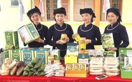 Nâng cao nhận thức, thúc đẩy tiêu thụ sản phẩm cho hội viên, phụ nữ khu vực dân tộc thiểu số và miền núi 