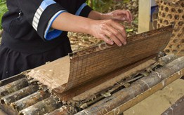 Giữ hồn giấy bản xóm Dìa Trên