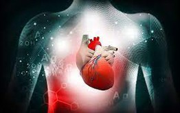 4 yếu tố chính gia tăng đau tim và đột quỵ