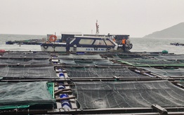 Khánh Hòa khẩn trương ứng phó bão số 15