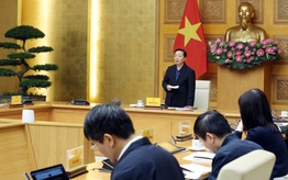 Xây dựng kịch bản ứng phó bão số 15, tính toán kỹ nguy cơ lũ, lụt, sạt lở đất