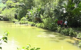 Xã Đồng Tâm (Tuyên Quang): Phát triển kinh tế từ nuôi cá Bỗng