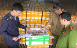 10 tấn cá khoai formol và "vòng luẩn quẩn" thực phẩm độc